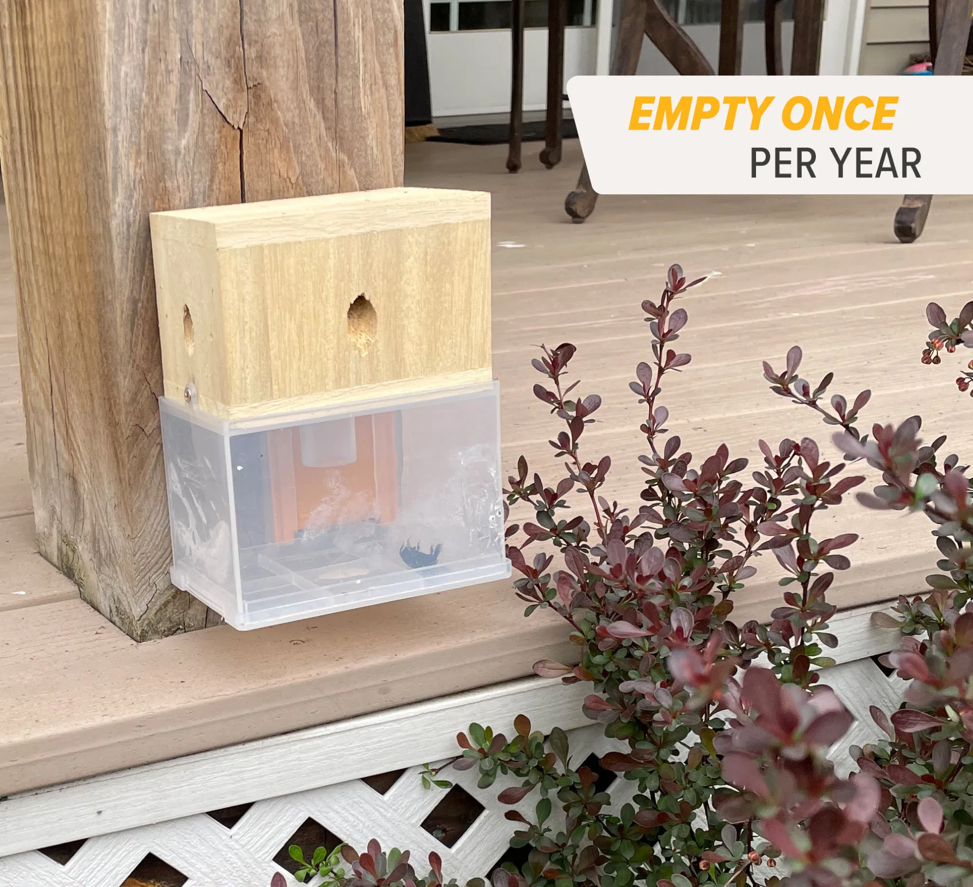 Domiple™ Carpenter Bee Trap